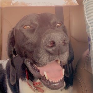 Meet your Posher, Grace